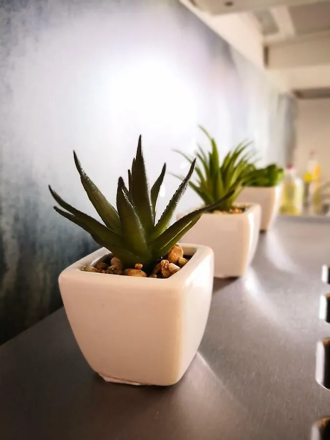*** Konukevi Apartments Casa Ivano Rovinj Hırvatistan